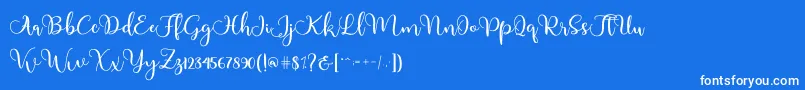 フォントAdinda – 青い背景に白い文字