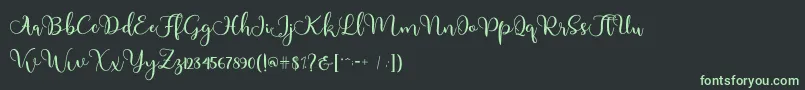 フォントAdinda – 黒い背景に緑の文字