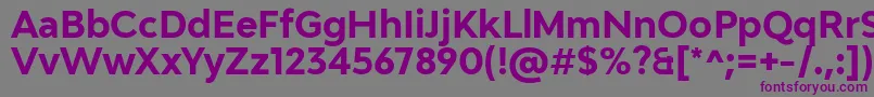 Adlinnaka BoldDemo Font – Purple Fonts on Gray Background