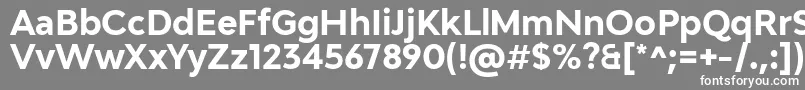 Adlinnaka BoldDemo Font – White Fonts on Gray Background
