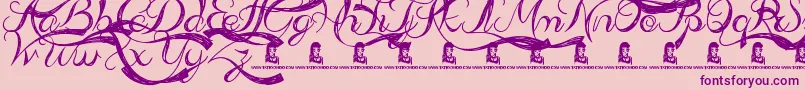 Admiration Pains Font – Purple Fonts on Pink Background