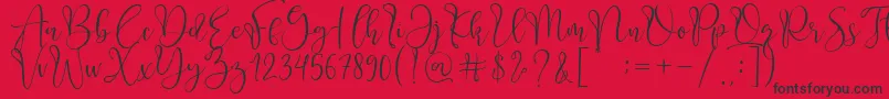 Adsila Font – Black Fonts on Red Background