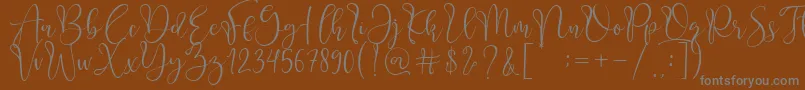 Adsila Font – Gray Fonts on Brown Background