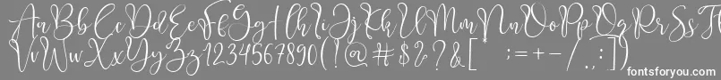 Adsila-Schriftart – Weiße Schriften auf grauem Hintergrund