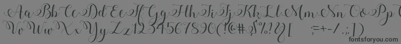 Adyana Font – Black Fonts on Gray Background