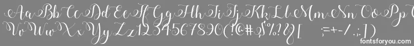 Adyana Font – White Fonts on Gray Background