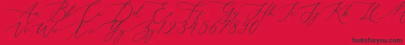 fuente Aerotis – Fuentes Negras Sobre Fondo Rojo