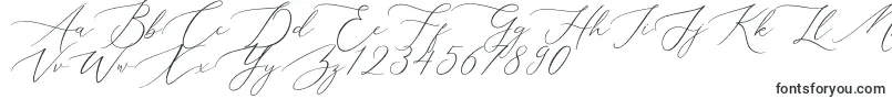 Aerotis-fontti – Kalligrafiafontit