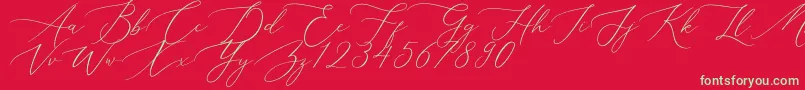 Aerotis-Schriftart – Grüne Schriften auf rotem Hintergrund