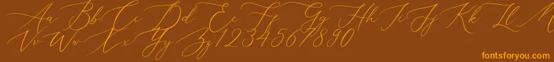 Aerotis-Schriftart – Orangefarbene Schriften auf braunem Hintergrund