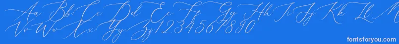 Aerotis-Schriftart – Rosa Schriften auf blauem Hintergrund