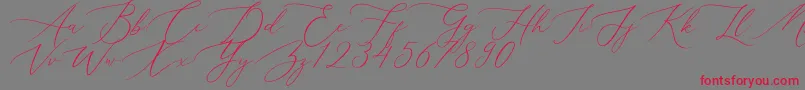 Aerotis Font – Red Fonts on Gray Background