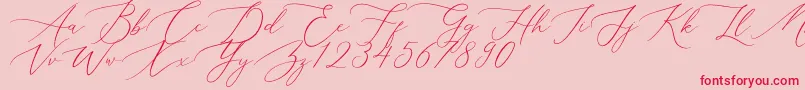 Aerotis-Schriftart – Rote Schriften auf rosa Hintergrund