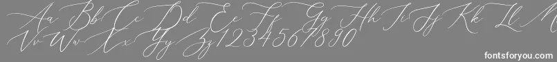 Aerotis Font – White Fonts on Gray Background