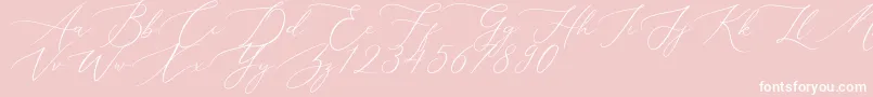 Aerotis-Schriftart – Weiße Schriften auf rosa Hintergrund