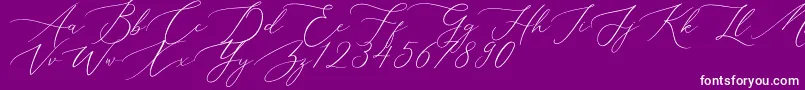 Aerotis Font – White Fonts on Purple Background