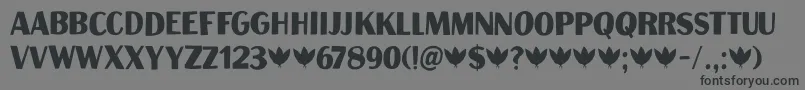 Aficionado DEMO Font – Black Fonts on Gray Background