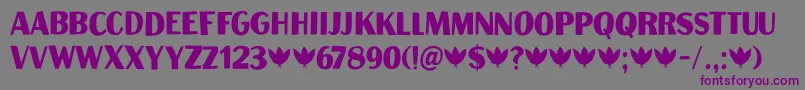 Шрифт Aficionado DEMO – фиолетовые шрифты на сером фоне