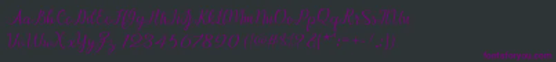 Afrile script Font – Purple Fonts on Black Background