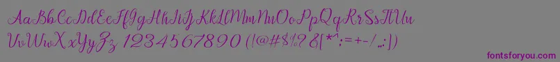 Afrile script Font – Purple Fonts on Gray Background