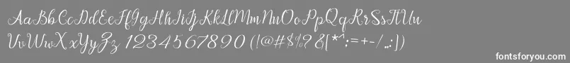 Afrile script Font – White Fonts on Gray Background