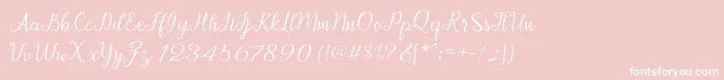Afrile script Font – White Fonts on Pink Background