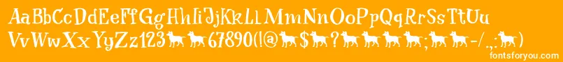 After Nightfall DEMO Font – White Fonts on Orange Background