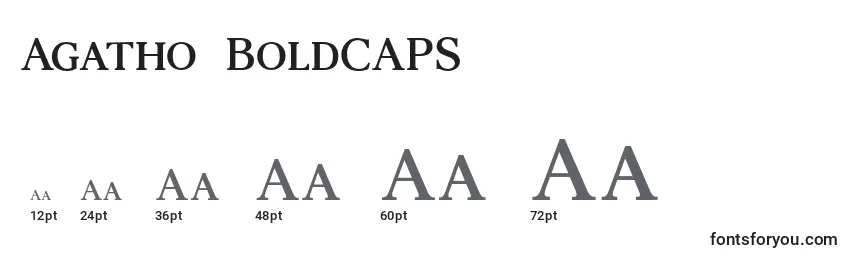 Размеры шрифта Agatho  BoldCAPS