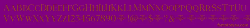 Agatho  LightCAPS Font – Brown Fonts on Purple Background