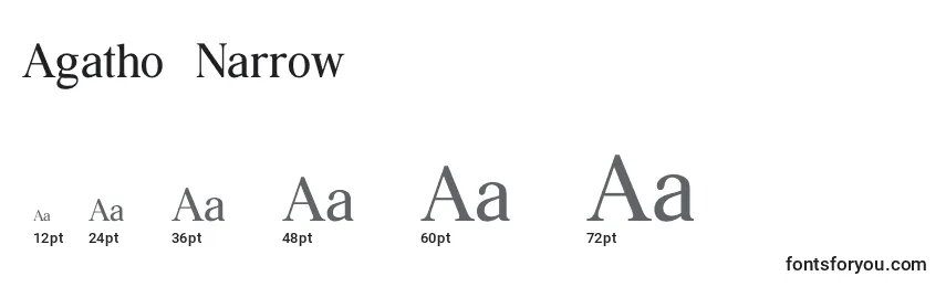 Agatho  Narrow Font Sizes