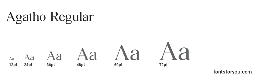 Размеры шрифта Agatho Regular