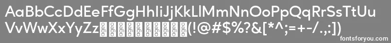 フォントAgeoPersonalUse SemiBold – 灰色の背景に白い文字