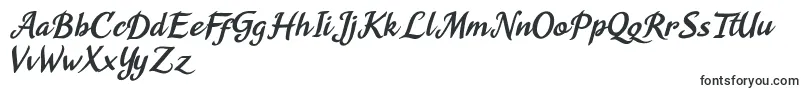 Agnesa Kyoto Font – Fonts for Adobe Illustrator