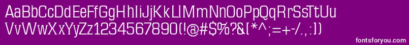 フォントMkseriftallx – 紫の背景に白い文字