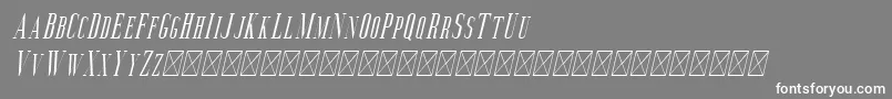 Aguero Serif Italic-fontti – valkoiset fontit harmaalla taustalla