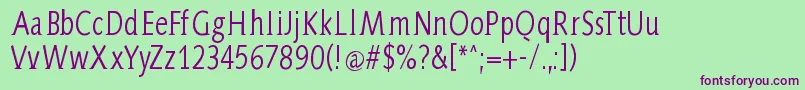 AidaSerifa Condensed Font – Purple Fonts on Green Background