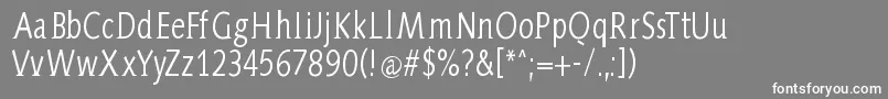 フォントAidaSerifa Condensed – 灰色の背景に白い文字