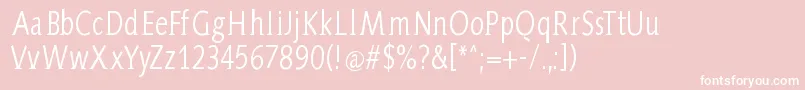 AidaSerifa Condensed Font – White Fonts on Pink Background