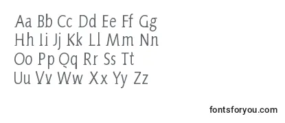 Review of the AidaSerifa Condensed Font