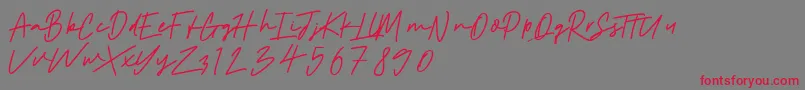 Aintonio Font – Red Fonts on Gray Background