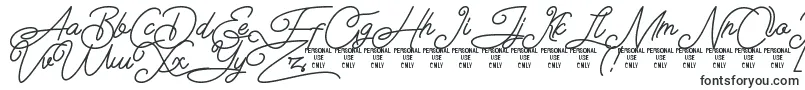 Airlangga Personal Use Only Font – Big Fonts