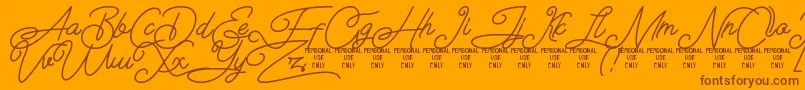 Airlangga Personal Use Only Font – Brown Fonts on Orange Background