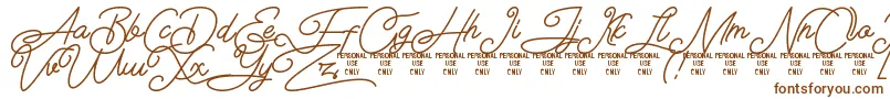 Airlangga Personal Use Only Font – Brown Fonts