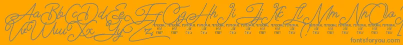 Airlangga Personal Use Only-Schriftart – Graue Schriften auf orangefarbenem Hintergrund