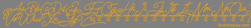 Airlangga Personal Use Only Font – Orange Fonts on Gray Background