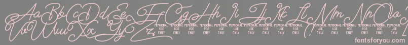 Airlangga Personal Use Only Font – Pink Fonts on Gray Background