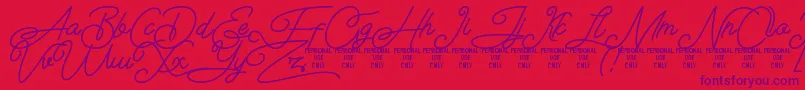 Airlangga Personal Use Only Font – Purple Fonts on Red Background