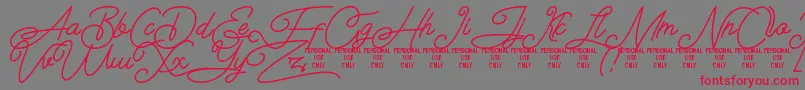 Airlangga Personal Use Only Font – Red Fonts on Gray Background