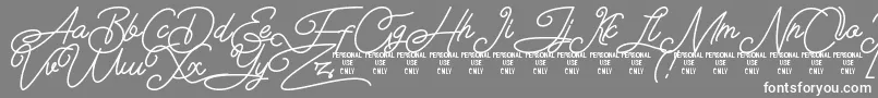 Airlangga Personal Use Only Font – White Fonts on Gray Background