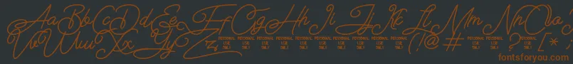 Airlangga Personal Use Only Font – Brown Fonts on Black Background